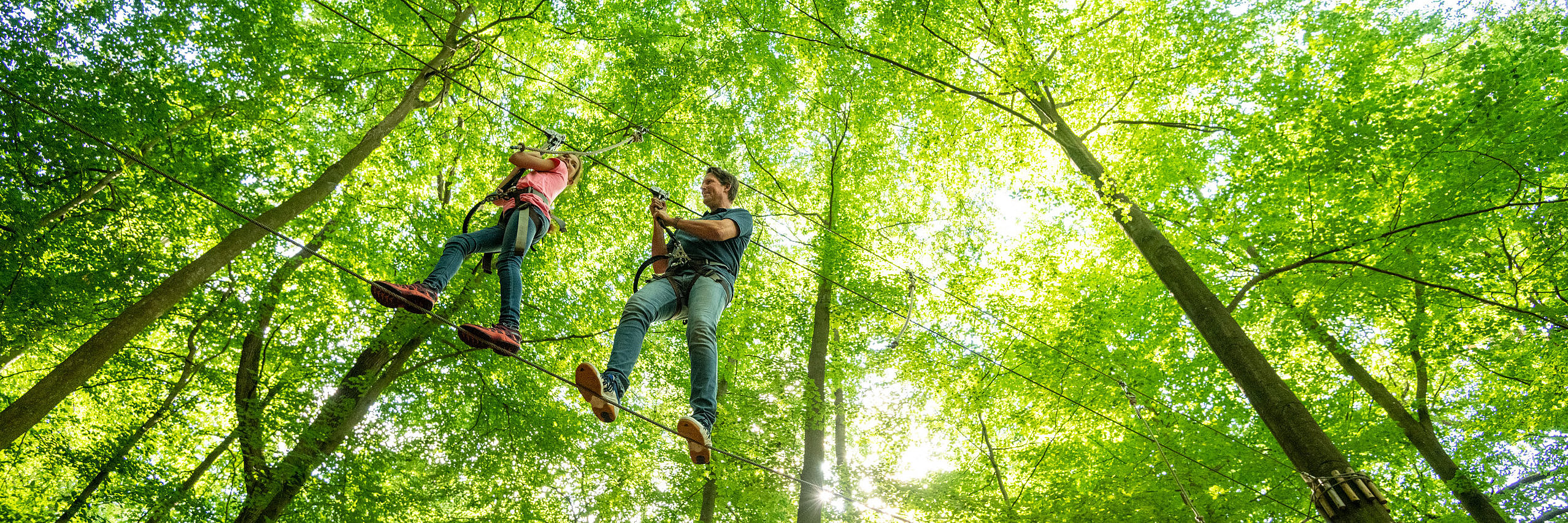 Bad Neuenahr-Ahrweiler forest climbing park