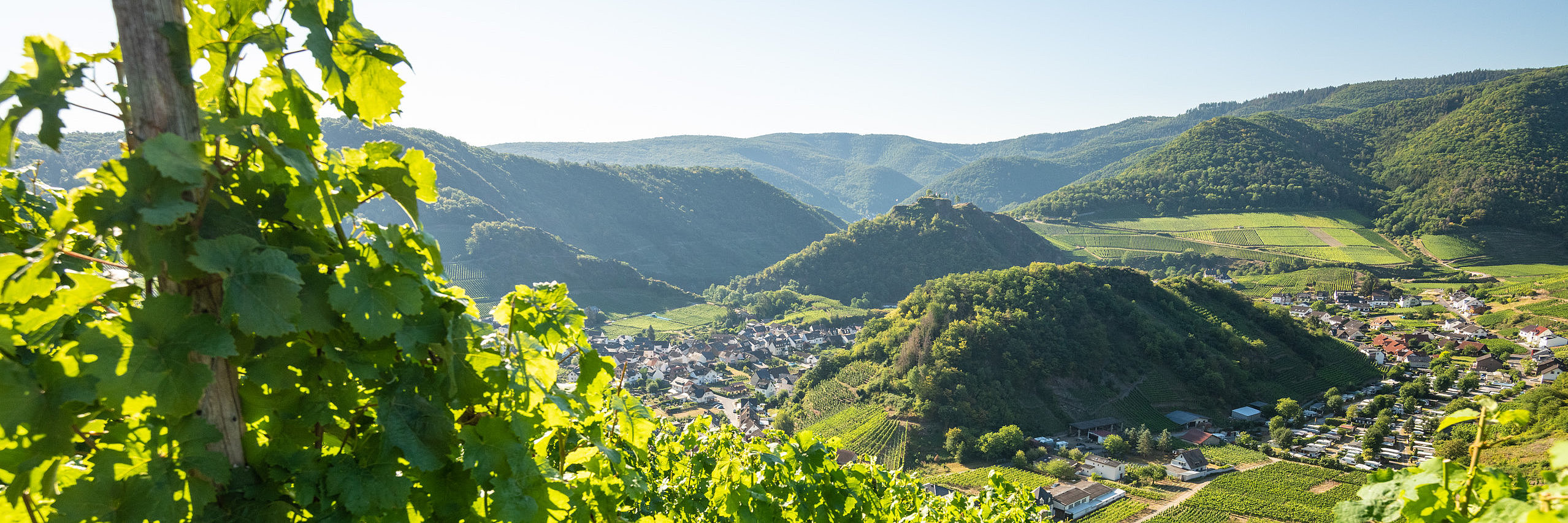 Ausblick auf das Ahrtal Blick durch die Weinberge auf das Ahrtal