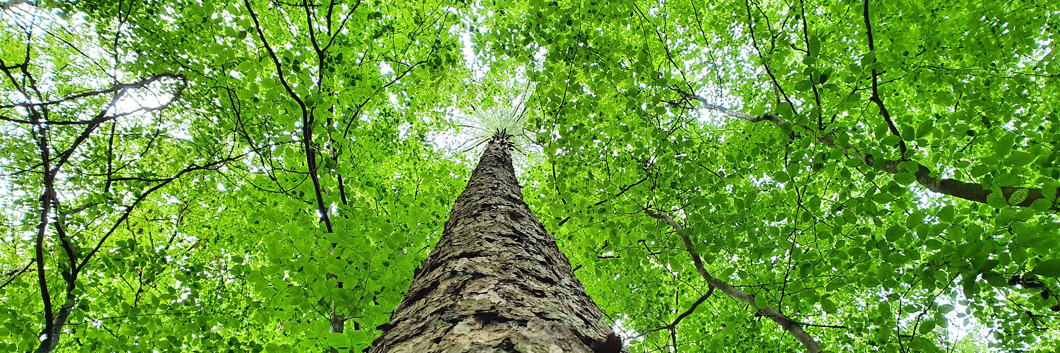 Natur mit anderen Augen betrachten Natur mit anderen Augen betrachten