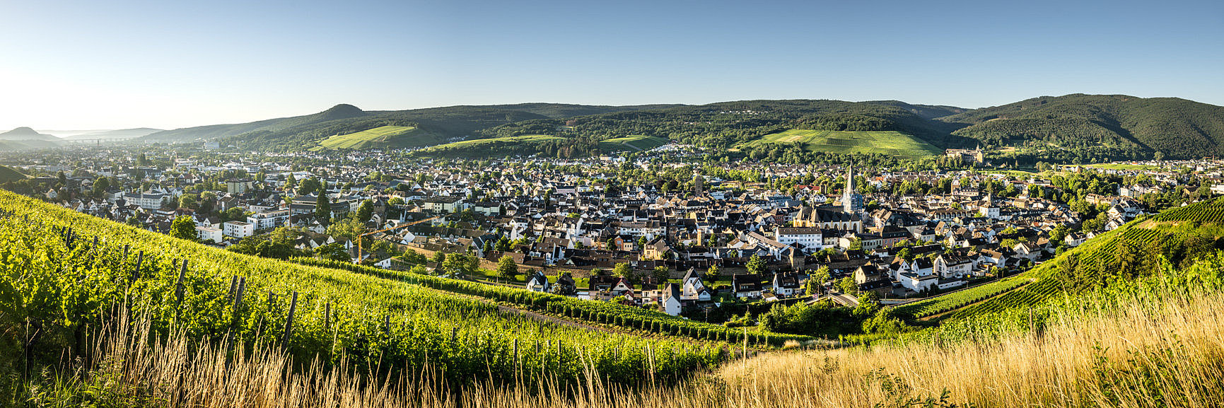 Blick auf Ahrweiler
