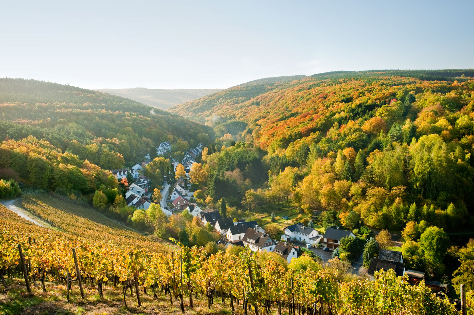 Blick auf Bachem Ausblick auf Bachem vom Karlskopf aus