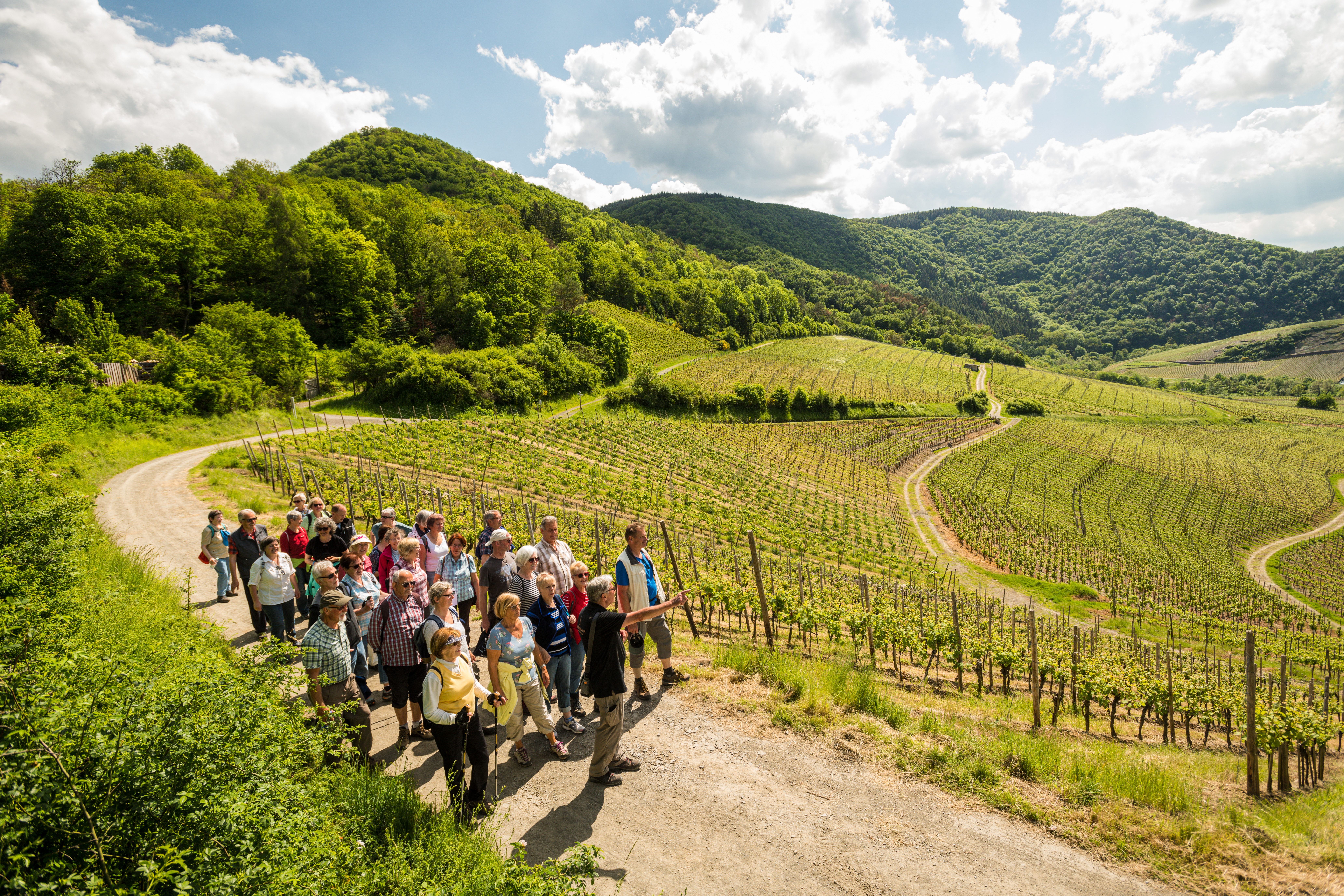Terrainwanderung