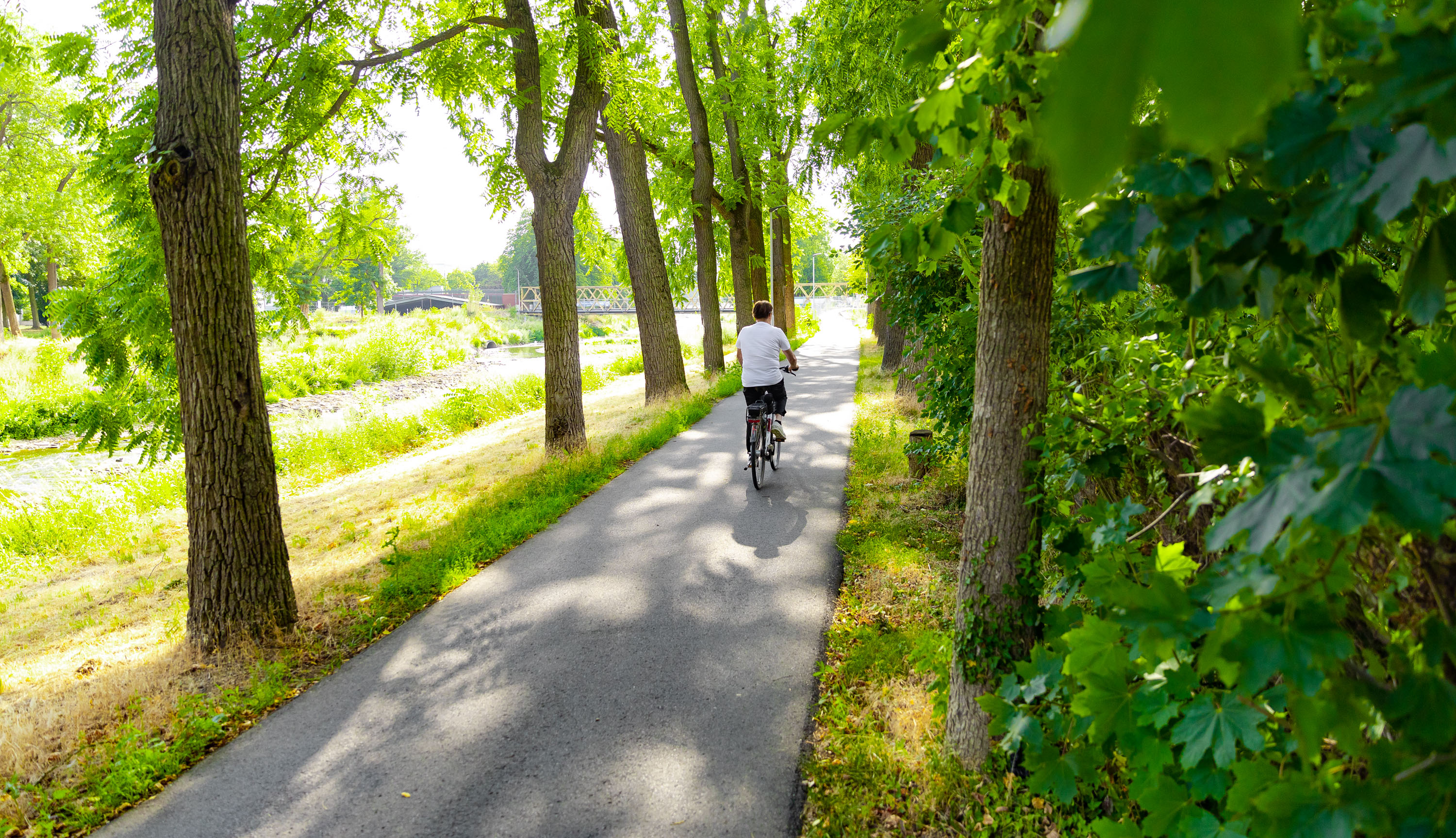 Ahr cycle path in Bad Neuenahr