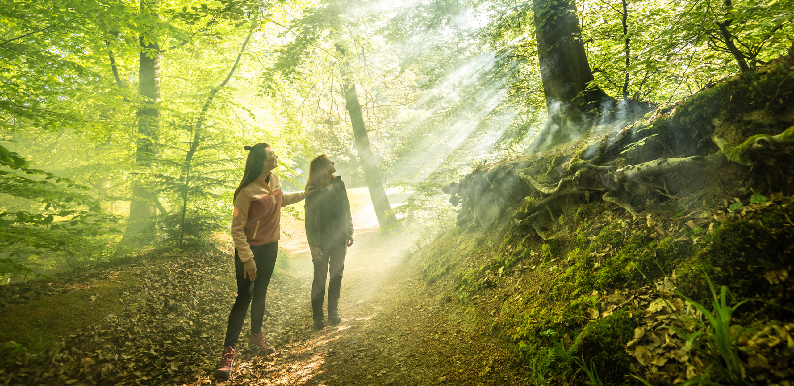 Achtsamkeitswandern rund um Bad Neuenahr-Ahrweiler im Ahrtal 3 Tage Achtsamkeits-Retreat-Wochenende im Ahrtal bei Bonn in Rheinland-Pfalz