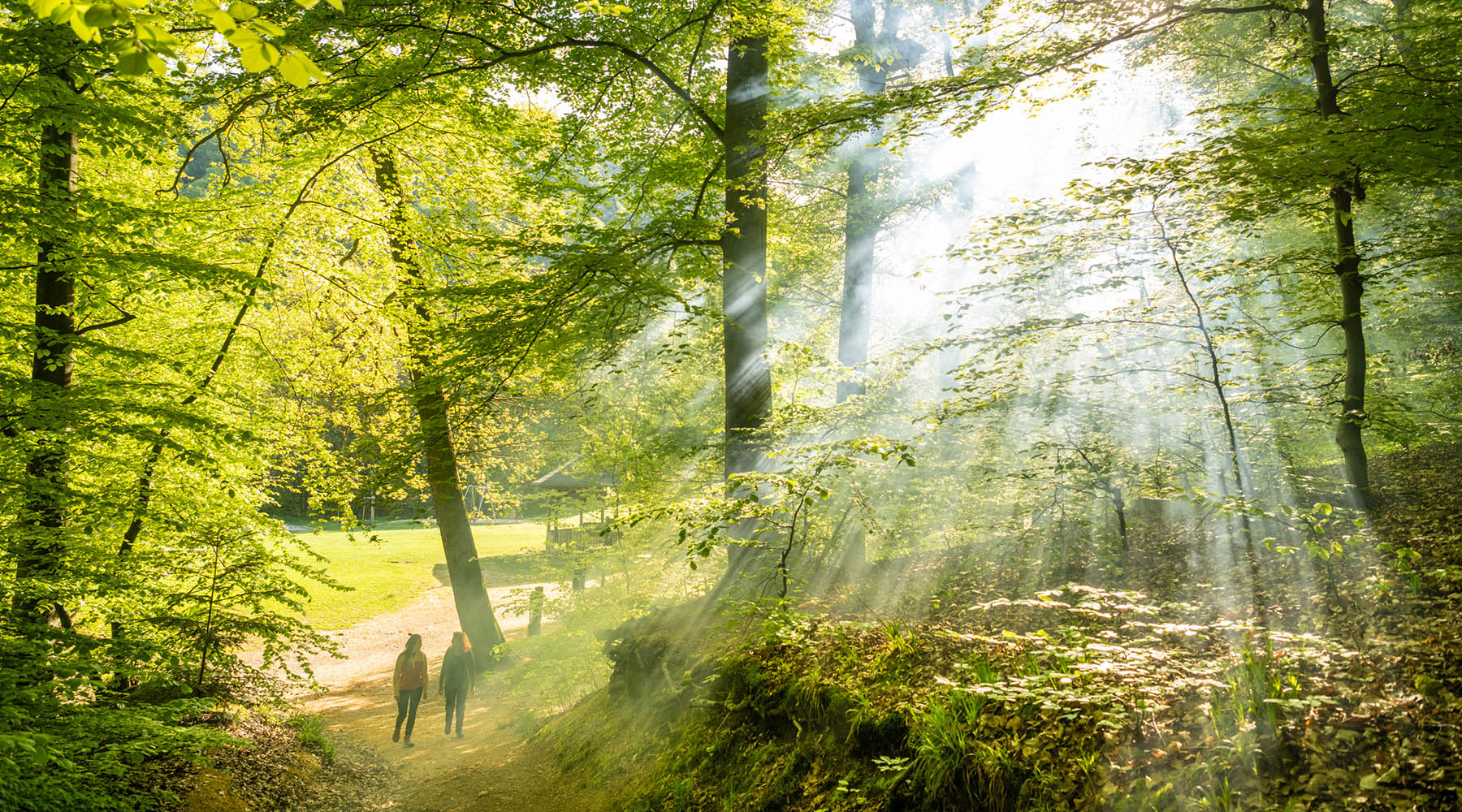 Achtsamkeitswandern während deines Retreat-Wochenendes im Ahrtal Achtsamkeit Retreat-Wochenende im Ahrtal (Deutschland)
