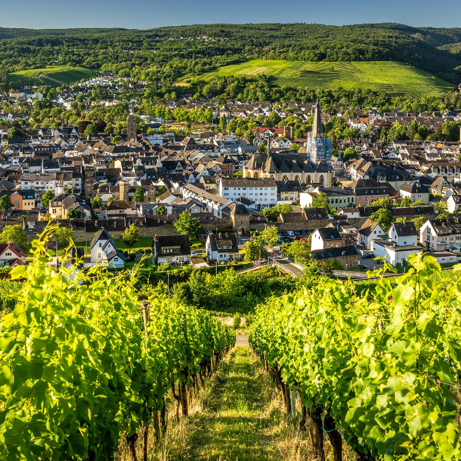 Blick auf Bad Neuenahr-Ahrweiler im Ahrtal Blick auf Bad Neuenahr-Ahrweiler in Deutschland