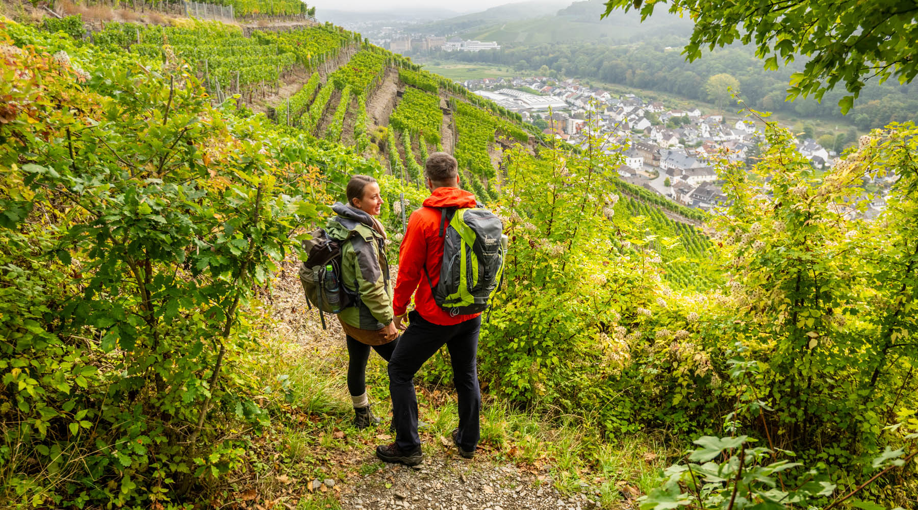 Geführte Wanderung durch das Ahrtal Geführte Wanderung durch das Ahrtal bei deinem Wellness-Urlaub in Rheinland-Pfalz