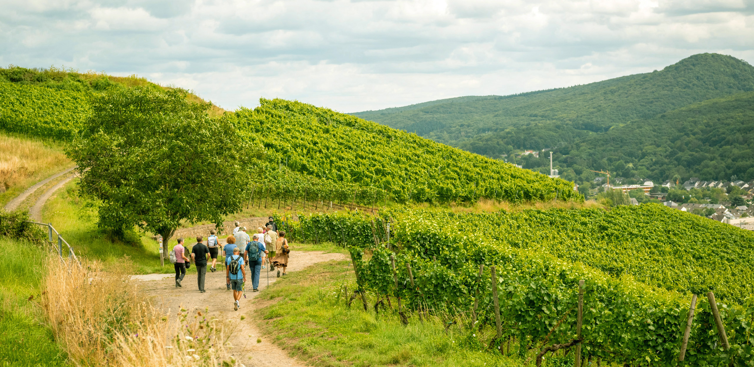 Wellness-Urlaub im Ahrtal mit geführter Wanderung durch die Region Geführte Wanderung durch das Ahrtal im Zuge deines Wellness-Urlaubes im Ahrtal