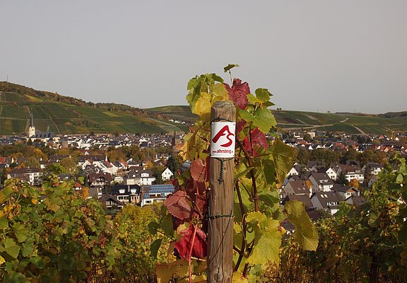 Weinberge bei Ahrweiler