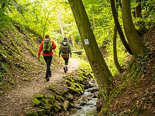 Waldwege der Maibachklamm