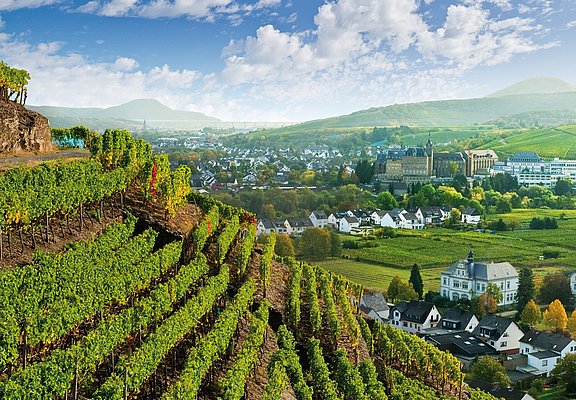Calvarienberg, Kloster, Ahrtal, Ahrweiler