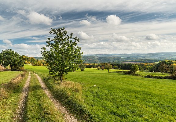 Aussicht von Aremberg