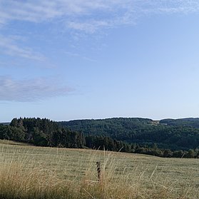 Blick über Wiesen und Weiten