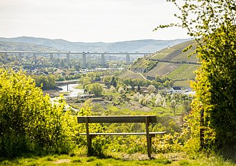 Aussicht von der Ehlinger Ley