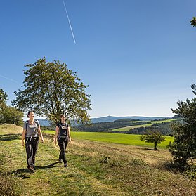 Panorama-Blick Hürstnück mit Hohe Acht