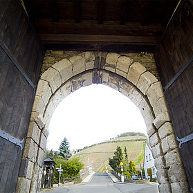 Ahrweiler, Adenbachtor, Weinberge, Stadtmauer, Ahrtal