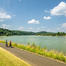 Rheinradweg bei Remagen