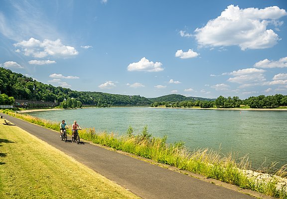 Rheinradweg bei Remagen