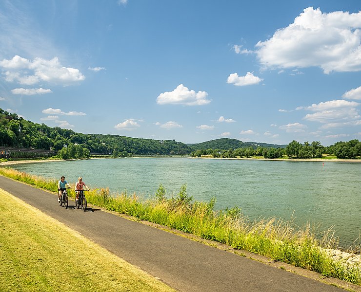 Rheinradweg bei Remagen
