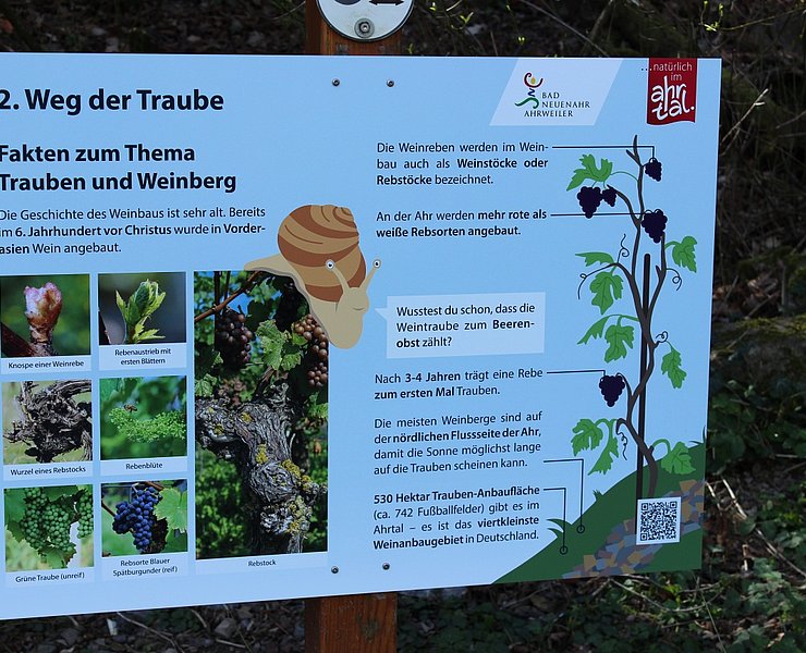 Lotta Erlebnispfad