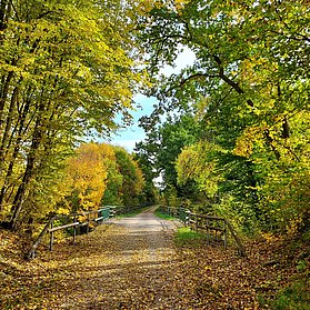 AhrRadwegAufEhm.Bahntrasse