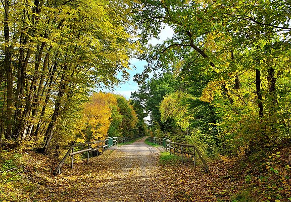 AhrRadwegAufEhm.Bahntrasse