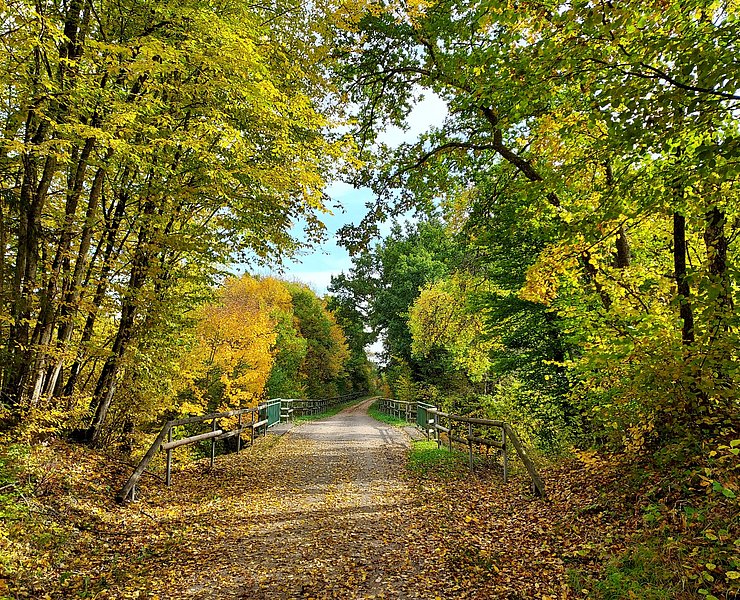 AhrRadwegAufEhm.Bahntrasse
