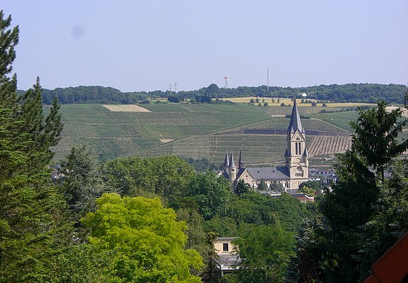 Blick auf Bad Neuenahr