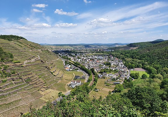 Blick auf Walporzheim