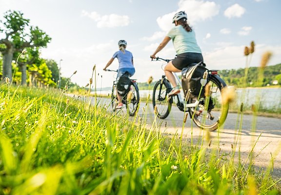 Rheinradweg bei Bad Breisig