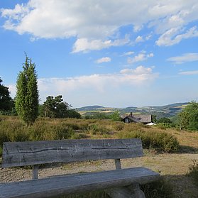 Wacholderheide bei Langscheid