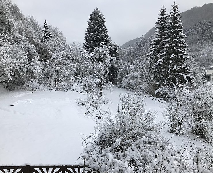 Grundstück neben dem Haus im Winter