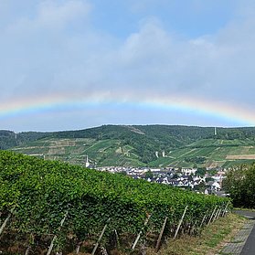 Weinberge