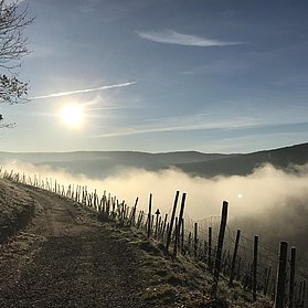 Herbst im Ahrtal