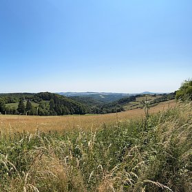 Panoramaweg Lind