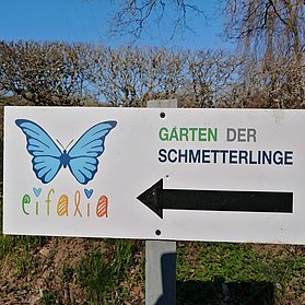 Schmetterlingsgarten Eifalia