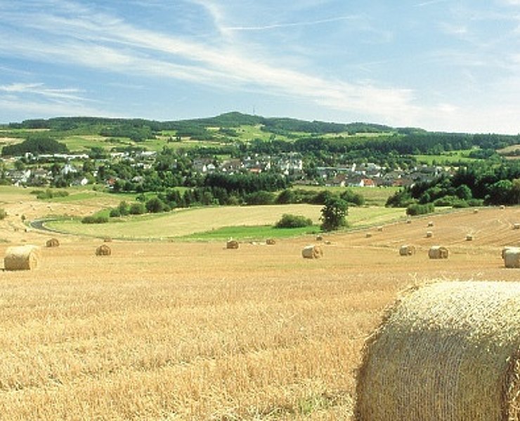 Vulkan-Rad-Route Eifel_Kelberg