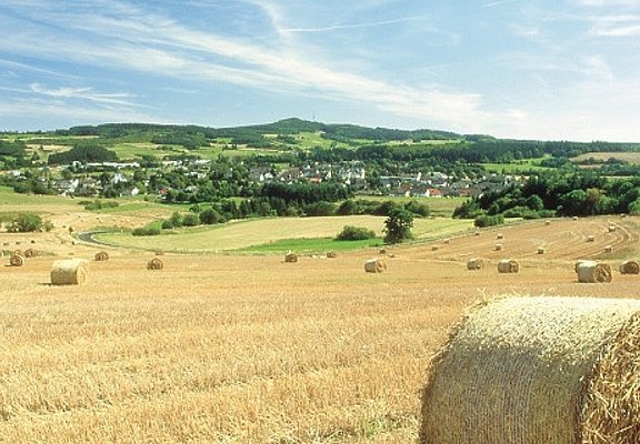 Vulkan-Rad-Route Eifel_Kelberg