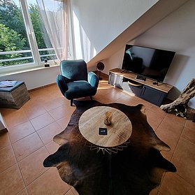Wohnzimmer Fewo Sternenhimmel