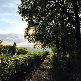 entlang der Nordschleife