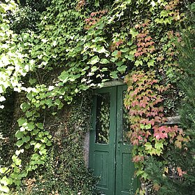 Herbst im Ahrtal