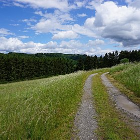 Ahrsteig