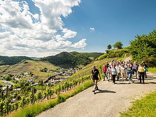 Geführte Terrainwanderung