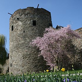 Kanonenturm