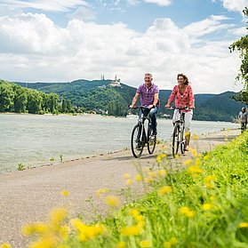 Rheinradweg mit Marksburg im Hintergrund