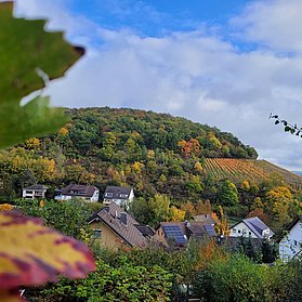 Herbst Blick auf den Koppen