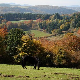 Herbstzauber