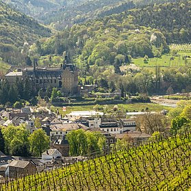 Kloster Kalvarienberg