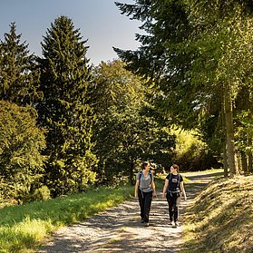 Hocheifel-Panorama-Weg Insul-Winnerath