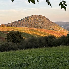 IMG_5036